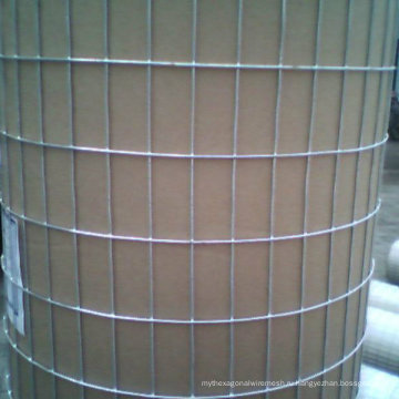 Кривая ограждения/3Д Гальванизированная Покрынная PVC сваренная Загородка ячеистой сети